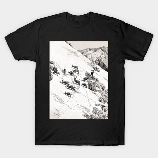 Capra Ibex group in snow T-Shirt by SakalDesign